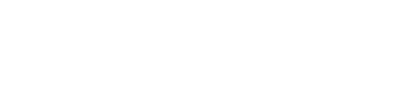 Mindseye Training